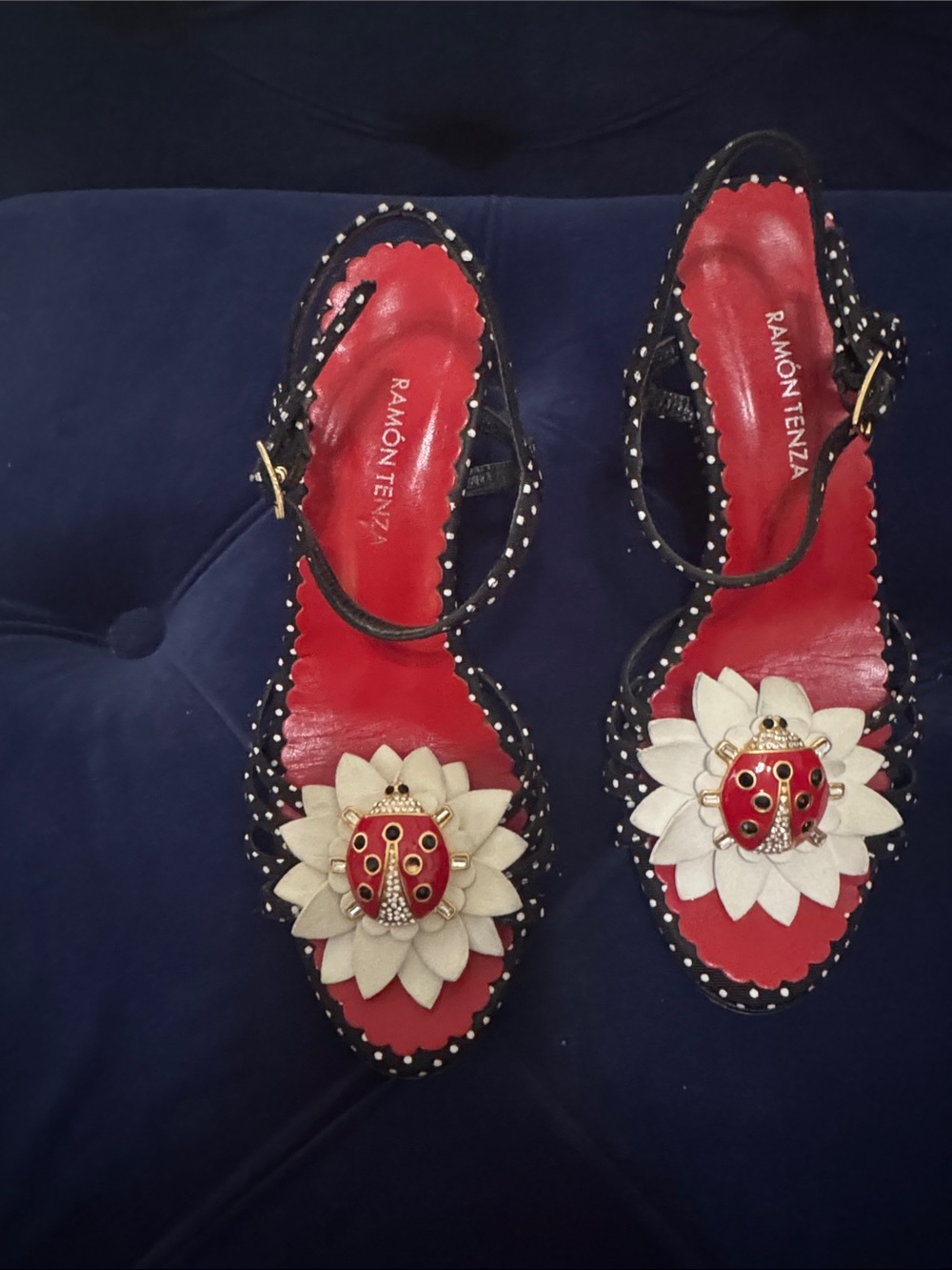 Ramon Tenza Black and Red Floral Ladybug Slingback Sandals